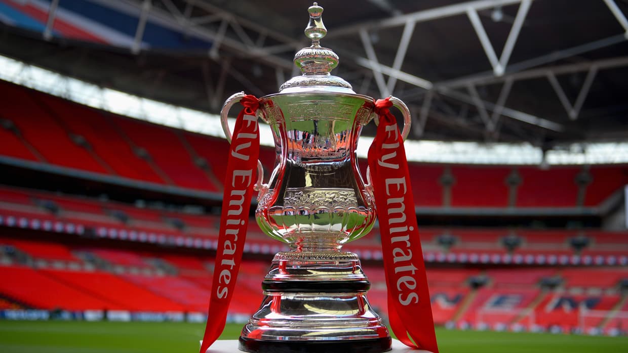 Emirates fa cup on stand on pitch